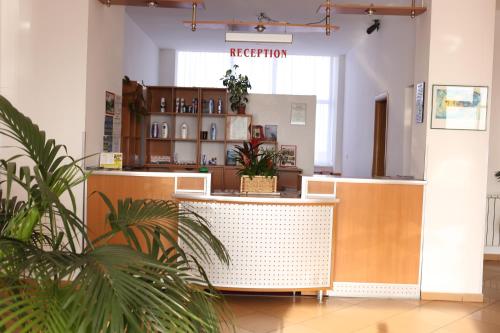 Imagen general del Hotel Dana, Satu mare. Foto 1