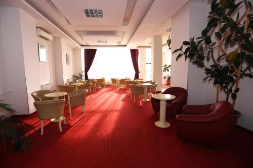 Imagen general del Hotel Dana, Satu mare. Foto 2