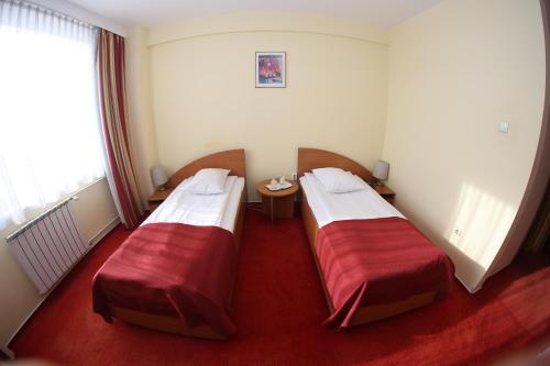 Imagen de la habitación del Hotel Dana, Satu mare. Foto 5