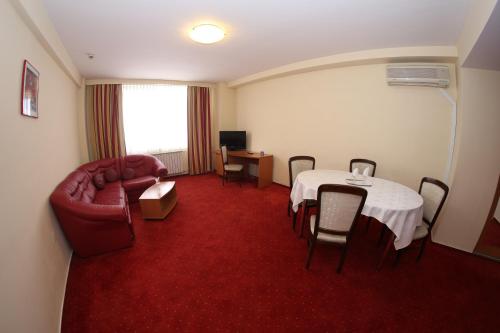Imagen de la habitación del Hotel Dana, Satu mare. Foto 7