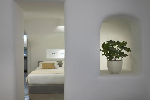 Imagen general del Hotel Danae Suites Santorini. Foto 5
