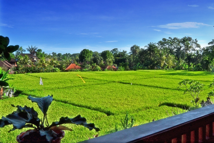 Imagen de la habitación del Hotel Danasari Homestay. Foto 3
