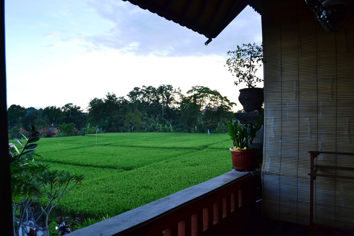 Imagen de la habitación del Hotel Danasari Homestay. Foto 5