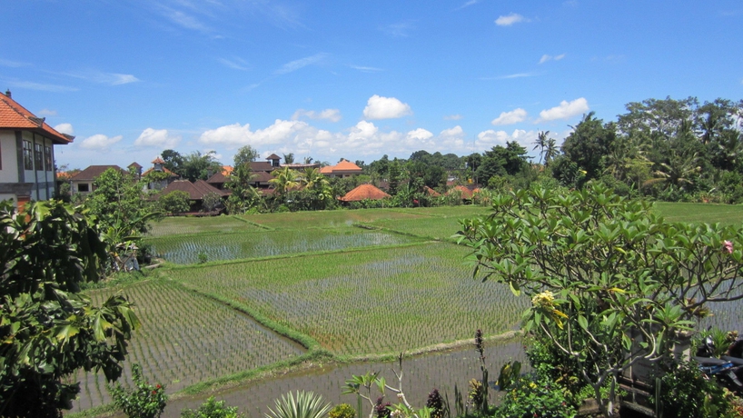 Imagen general del Hotel Danasari Homestay. Foto 1
