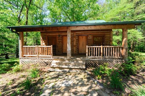 Imagen de la habitación del Hotel Dancing Bear Lodge. Foto 11