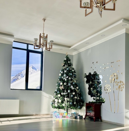 Imagen de los interiores del Hotel Dandelion Gudauri. Foto 19