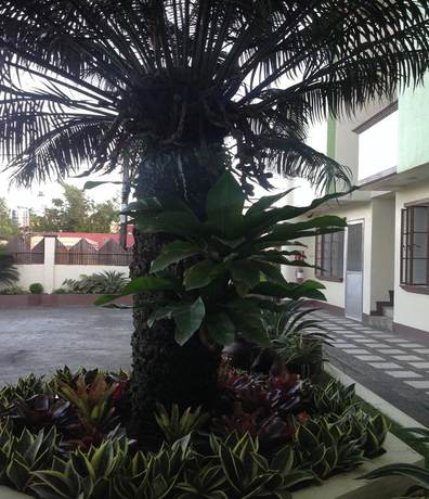 Imagen de los exteriores del Hotel Danel Pensionne House. Foto 13