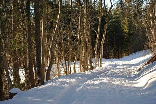 Imagen de la habitación del Hotel Daneu. Foto 4