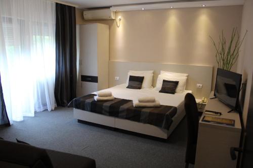 Imagen general del Hotel Danica, Vrnjačka Banja. Foto 1