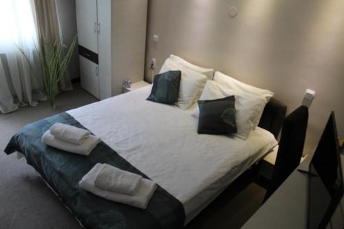 Imagen general del Hotel Danica, Vrnjačka Banja. Foto 3