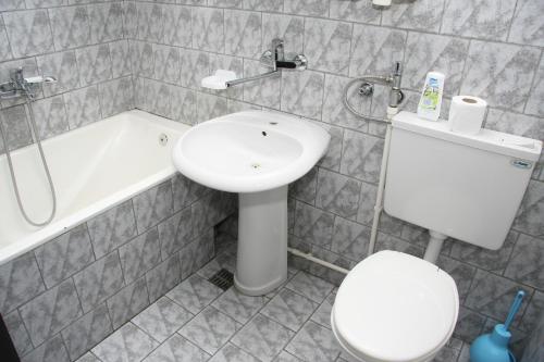 Imagen de la habitación del Hotel Danica, Vrnjačka Banja. Foto 8