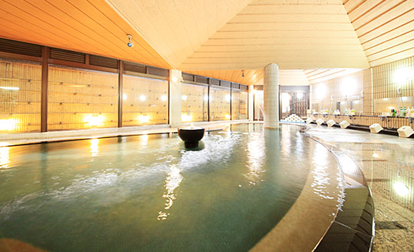 Imagen de los interiores del Hotel Dankoen. Foto 5