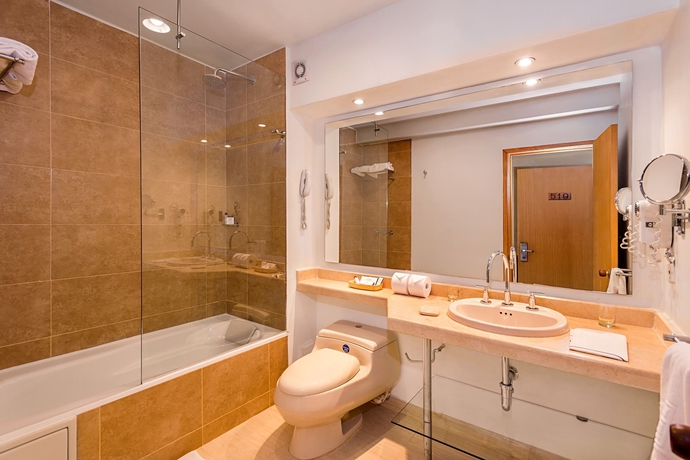 Imagen de la habitación del Hotel Dann Norte. Foto 11