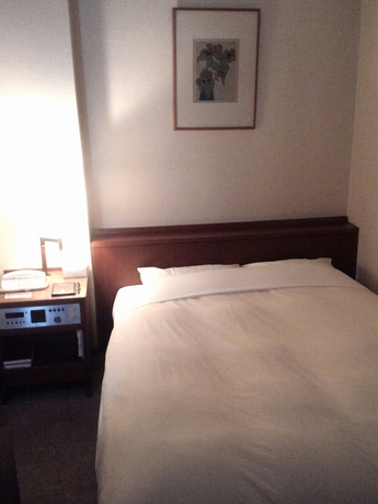 Imagen de la habitación del Hotel Danrokan. Foto 10