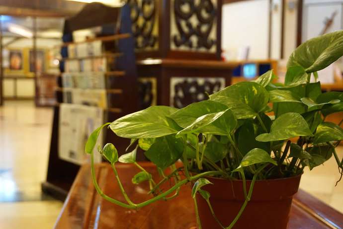 Imagen de la habitación del Hotel Dansavanh Vientiane. Foto 5