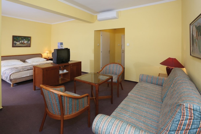 Imagen de la habitación del Hotel Danubius Rába. Foto 14