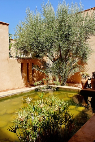 Imagen de los exteriores del Hotel Dar 55 &ndash; Berb&egrave;re House. Foto 13