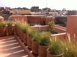 Imagen de los interiores del Hotel Dar Akal. Foto 8