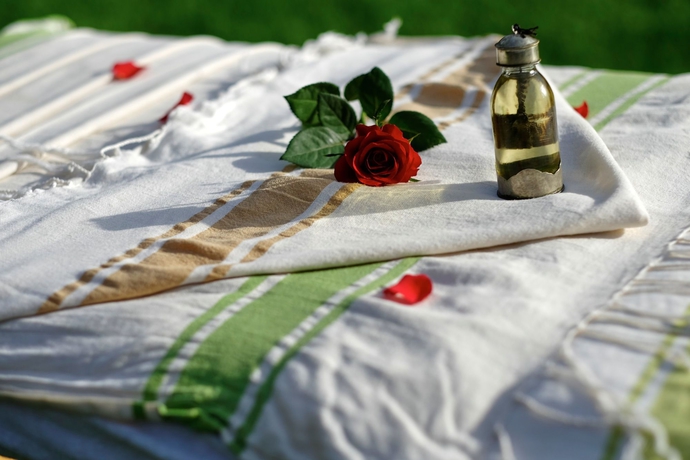 Imagen de los exteriores del Hotel Dar Ayniwen Garden and Bird Zoo. Foto 10