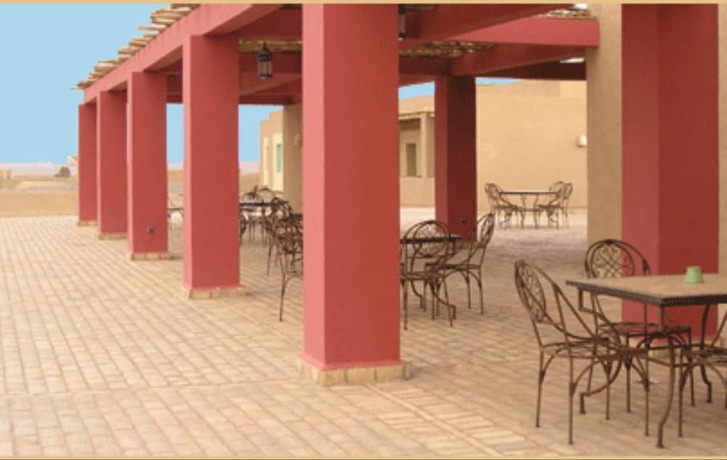 Imagen de los exteriores del Hotel Dar El Janoub. Foto 8