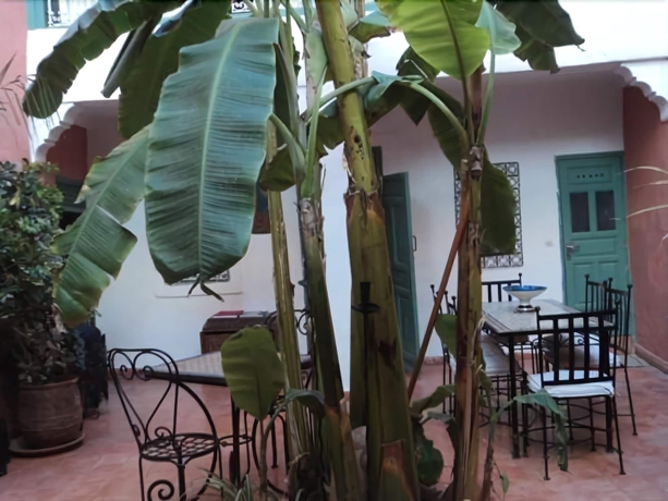 Imagen de los exteriores del Hotel Dar M'chicha. Foto 15