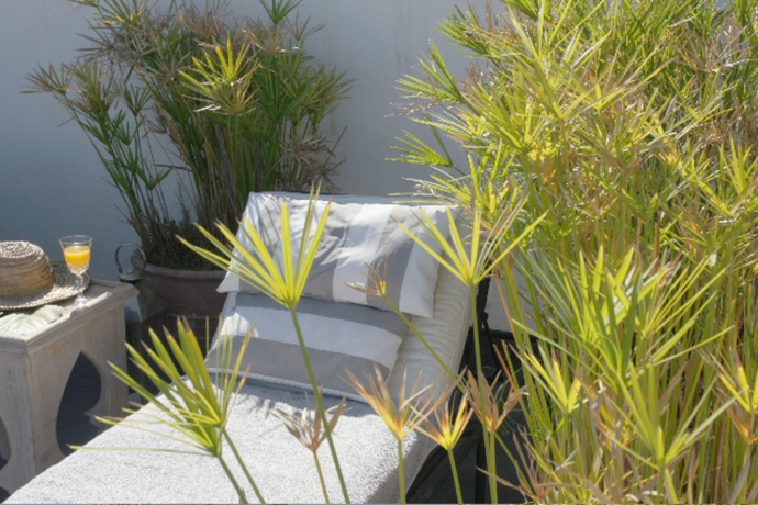 Imagen de los exteriores del Hotel Dar Seven. Foto 13