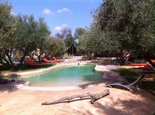 Imagen general del Hotel Dar Tougga. Foto 7