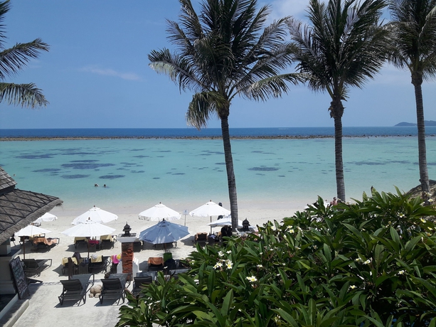 Imagen general del Hotel Dara Samui Beach Resort - Adults Only - Sha Extra Plus. Foto 1