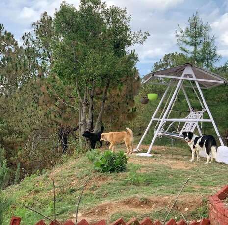 Imagen general del Hotel Darbar - A Heritage Farmstay. Foto 11