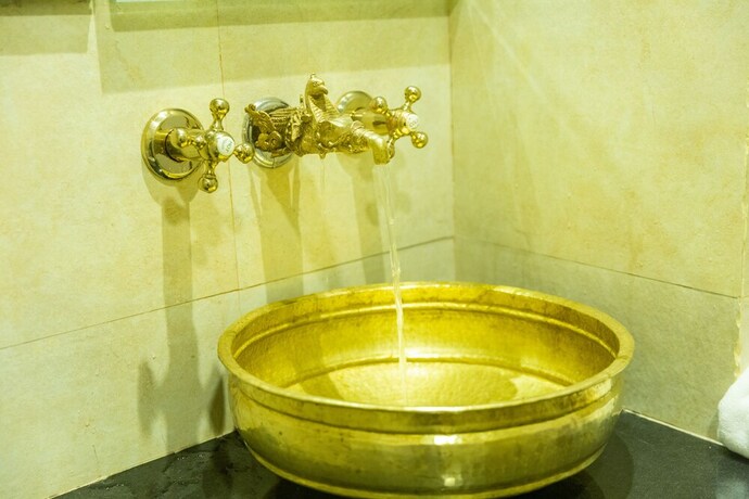 Imagen general del Hotel Darbar Heritage Inn. Foto 15