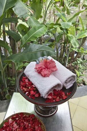 Imagen de los interiores del Hotel Darmada Eco Resort. Foto 35