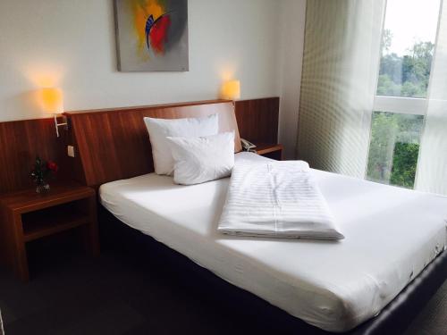 Imagen de la habitación del Hotel Darstein. Foto 7