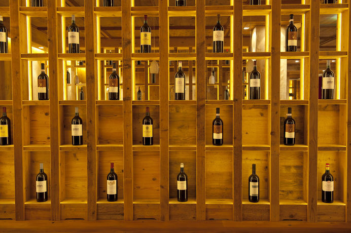 Imagen general del Hotel Das Achental Resort. Foto 8