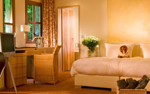 Imagen general del Hotel Das BollAnts - SPA im Park. Foto 4