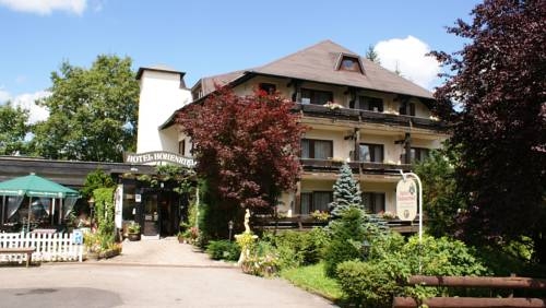 Imagen general del Hotel Das Hohenried. Foto 5
