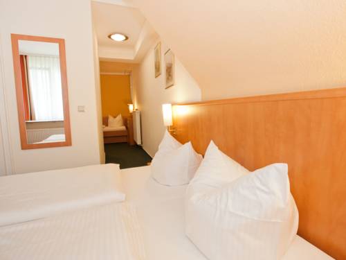 Imagen de la habitación del Hotel Das Landhotel Am Tr&auml;tzhof. Foto 10