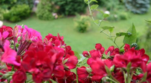 Imagen de la habitación del Hotel Das Mittelpunkt. Foto 8