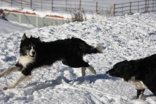 Imagen general del Hotel Das Schütz am Obertauern. Foto 21