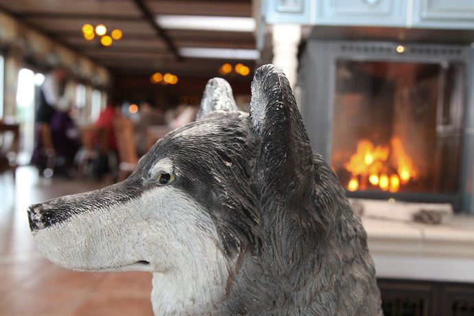 Imagen de los interiores del Hotel Das Wolfshotel am Arendsee. Foto 19