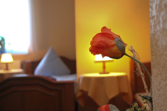 Imagen de la habitación del Hotel Das Wolfshotel am Arendsee. Foto 6
