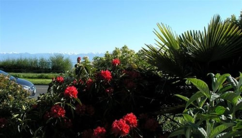 Imagen de los exteriores del Hotel Dashwood Manor Seaside Bed And Breakfast. Foto 19