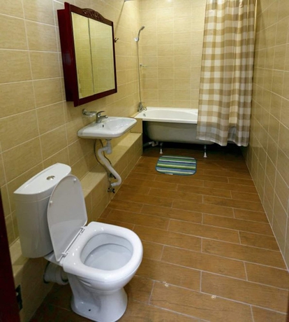 Imagen de la habitación del Hotel Dasn Hall Domodedovo. Foto 2