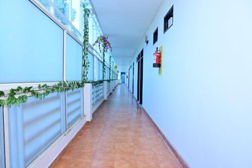 Imagen de la habitación del Hotel Date Palm. Foto 18