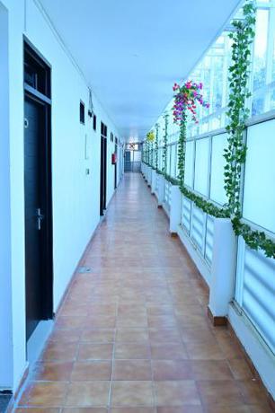 Imagen general del Hotel Date Palm. Foto 16