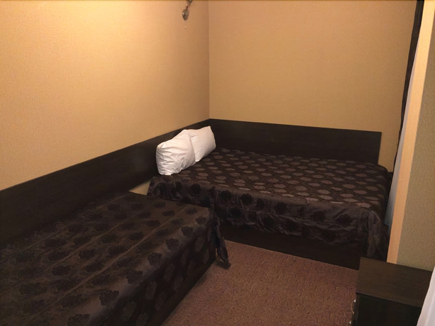 Imagen de la habitación del Hotel David Bek. Foto 13