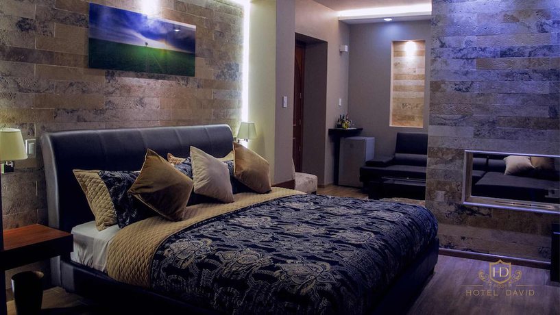 Imagen de la habitación del Hotel David. Foto 8