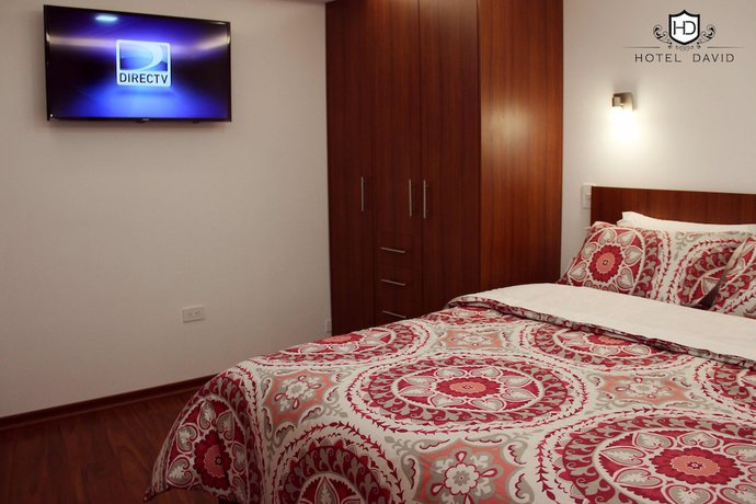 Imagen de la habitación del Hotel David. Foto 9
