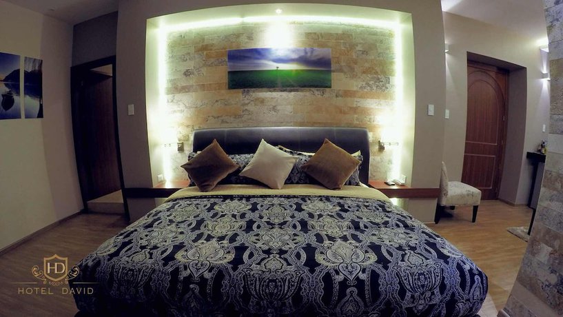 Imagen de la habitación del Hotel David. Foto 12
