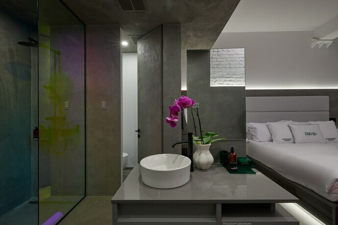 Imagen general del Hotel David, Montreal. Foto 10