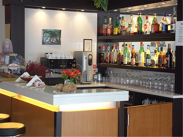 Imagen general del Hotel David, Sesto Calende. Foto 28